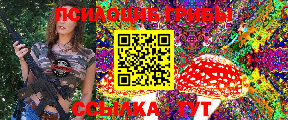 Псилоцибиновые грибы мицелий Кунгур